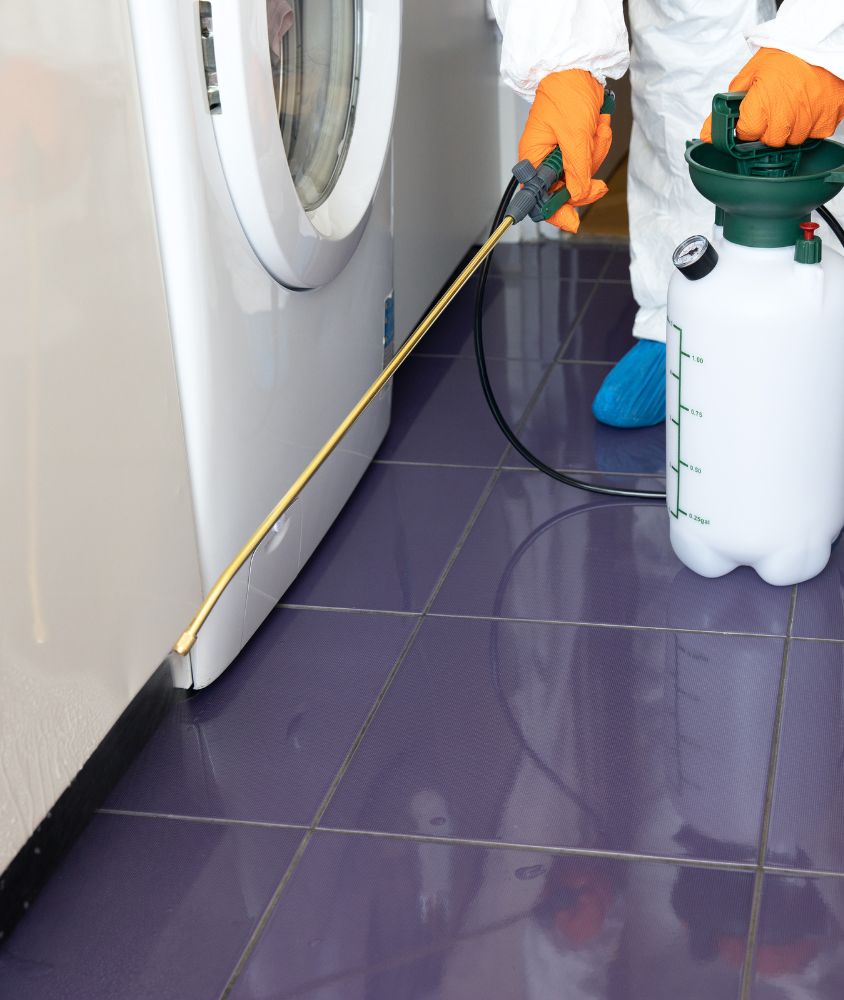 Dedetização em Pelotas